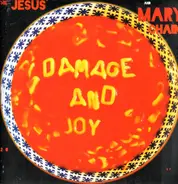 The Jesus And Mary Chain - Damage And Joy