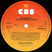 LP - The Jim Carroll Band - Dry Dreams