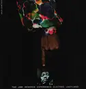 Double LP - The Jimi Hendrix Experience - Electric Ladyland - French Alternate Cover