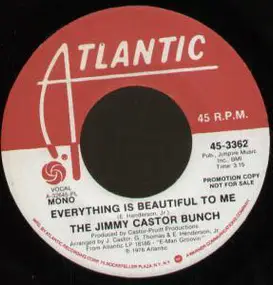 Jimmy Castor - Everything Is Beautiful To Me