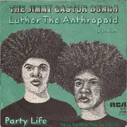 The Jimmy Castor Bunch - Luther The Anthropoid (Ape Man)