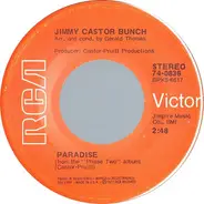 The Jimmy Castor Bunch - Paradise / The First Time Ever I Saw Your Face