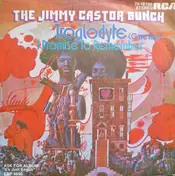 Jimmy Castor - Troglodyte (Cave Man)