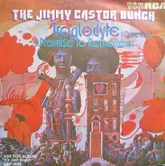 Jimmy Castor - Troglodyte (Cave Man)