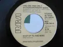 7inch Vinyl Single - The One And Only Extragordonary Band - Step Up To The Mike