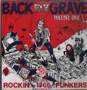 The One Way Streets, The Fabs, The Rats a.o. - Back From The Grave Vol. 1