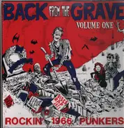 The One Way Streets, The Fabs, The Rats a.o. - Back From The Grave Vol. 1