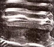 The Octagon - Nothing But Change