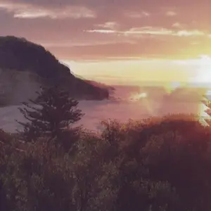 The Ocean Party - Beauty Spot