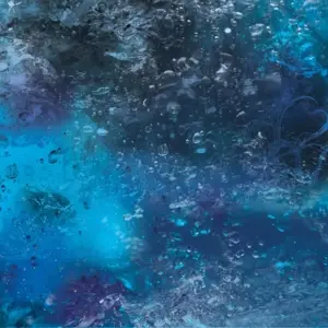 The Ocean - Pelagial