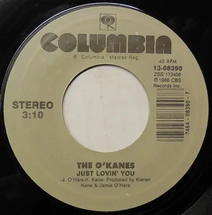 The O'Kanes - Just Lovin' You