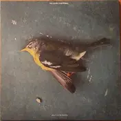 The Olympic Symphonium - Beauty In The Tension