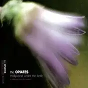 The Opiates - HOLLYWOOD UNDER THE KNIFE + HOLLYWO