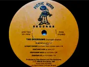 LP - The Opossums - (Marsupial Erruptus)