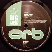 12inch Vinyl Single - The Orb - Orb In Dub