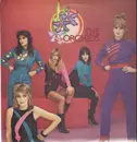 LP - The Orchids - The Orchids