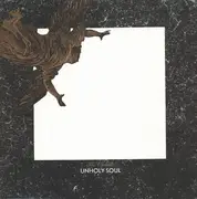 LP - The Orchids - Unholy Soul