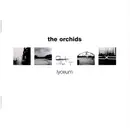 CD - The Orchids - Lyceum + Singles
