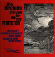 The Orchids - Striving For The Lazy Perfection