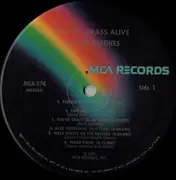 LP - The Osborne Brothers - Fastest Grass Alive - Pinckneyville Pressing