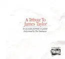 CD - The Overtures - A Tribute To James Taylor