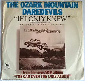 Ozark Mountain Daredevils - If i Only knew