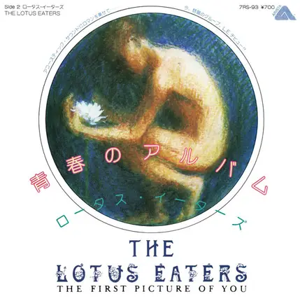 The Lotus Eaters - The First Picture Of You