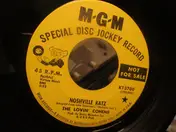 The Lovin' Cohens - Noshville Katz