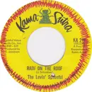 7inch Vinyl Single - The Lovin' Spoonful - Rain On The Roof