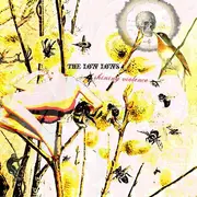 CD - The Low Lows - Shining Violence