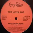 12inch Vinyl Single - The Latin Age - Push In The Bush