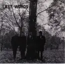 7inch Vinyl Single - The Last Words - Todays Kidz