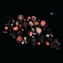 CD - The Last Dinosaur - Hooray! For Happiness