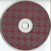 CD Single - The Levellers - This Garden