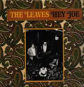 The Leaves - Hey Joe
