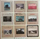 LP & MP3 - The Left Outsides - A Place To Hide