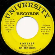 The Little Dippers