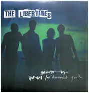 The Libertines - Anthems for Doomed Youth
