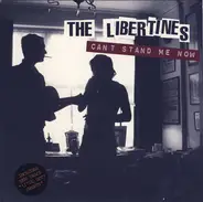 The Libertines - Can't stand me now