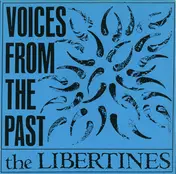 The Libertines - Voices From The Past / Something In The Water