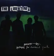LP - The Libertines - Anthems For Doomed Youth