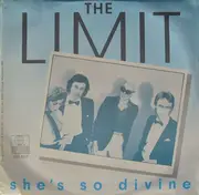 12inch Vinyl Single - The Limit - She's So Divine