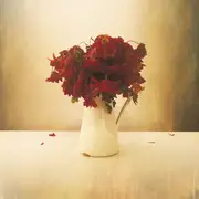 LP - The Lion And The Wolf - The Cardiac Hotel