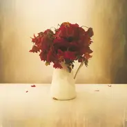 The Lion And The Wolf - The Cardiac Hotel