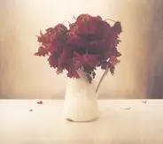 The Lion And The Wolf - The Cardiac Hotel