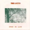 7inch Vinyl Single - The Lucys - Unless You Come