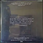 LP - The Mountain Goats - Transcendental Youth