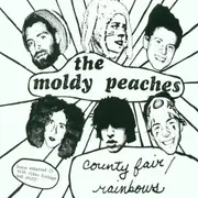 CD Single - the Moldy Peaches - County Fair/Rainbows