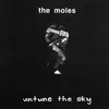 LP - The Moles - Untune The Sky - Clear Transparent