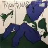 7inch Vinyl Single - The Montanas - I See / It Rained